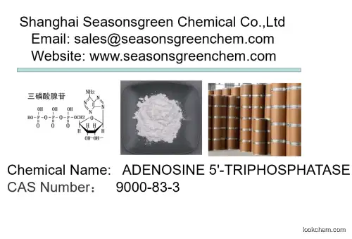 lower price High quality ADENOSINE 5'-TRIPHOSPHATASE