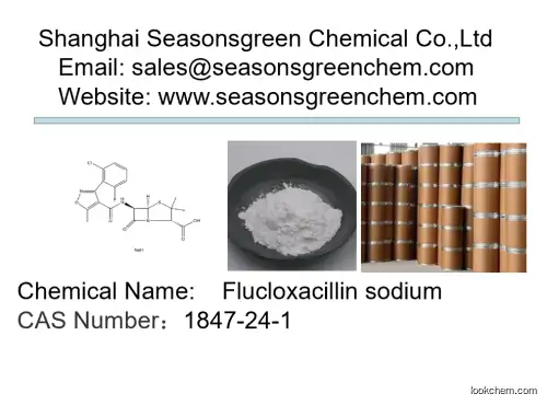 lower price High quality Flucloxacillin sodium