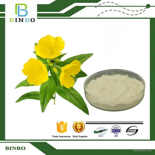 Vegan Alpha Linolenic Acid Powder（ALA）