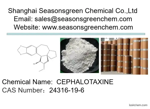 lower price High quality CEPHALOTAXINE