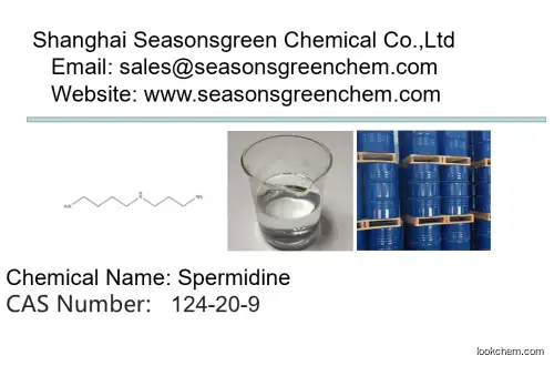 lower price High quality Spermidine