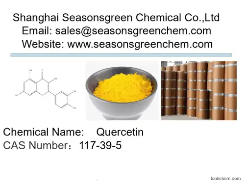 lower price High quality Quercetin