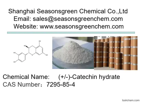 lower price High quality (+/-)-Catechin hydrate