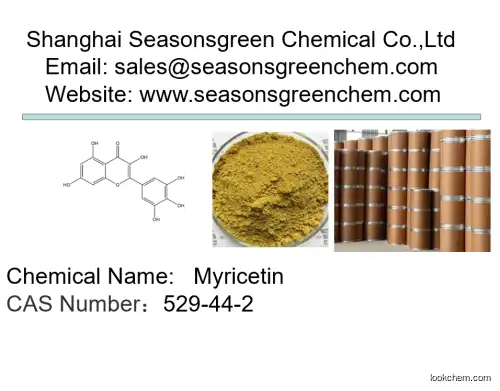 lower price High quality Myricetin