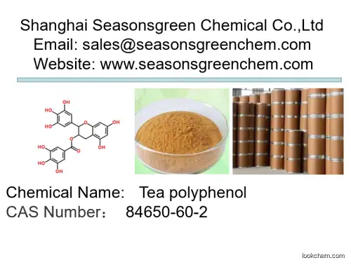 lower price High quality Tea polyphenol