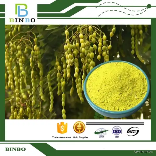 Natural Kaempferol from Sophora japonica extract