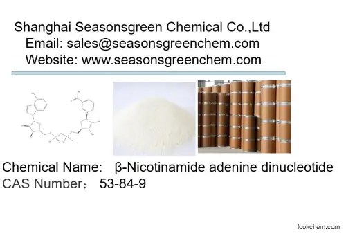lower price High quality β-Nicotinamide adenine dinucleotide