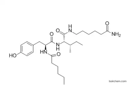 Nootropics Peptides Dihexa   CAS No.: 1401708-83-5