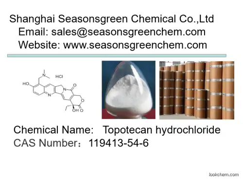 lower price High quality Topotecan hydrochloride