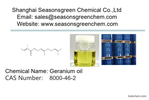 lower price High quality Geranium oil
