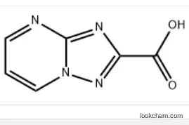 [1,2,4]TRIAZOLO[1,5-A]PYRIMIDINE-2-CARBOXYLIC ACID