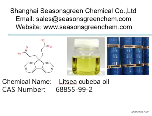 lower price High quality Litsea cubeba oil