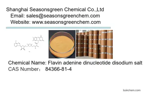 lower price High quality  Flavin adenine dinucleotide disodium salt