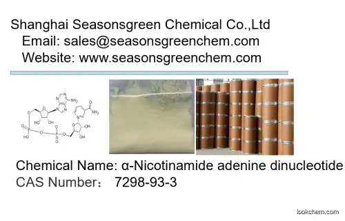 lower price High quality α-Nicotinamide adenine dinucleotide
