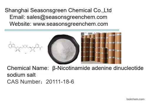 lower price High quality β-Nicotinamide adenine dinucleotide sodium salt