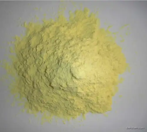 Factory high quality supply 99%Nicotinamide riboside chloride CAS:23111-00-4   good price