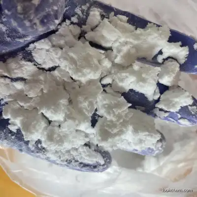 Best quality 99% Benzocaine Hcl 23239-88-5 GMP China manufacturer in spot