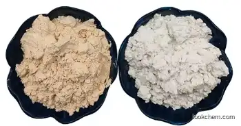 High Quality DIATOMACEOUS EARTH CAS NO 91053-39-3 Manufacturer