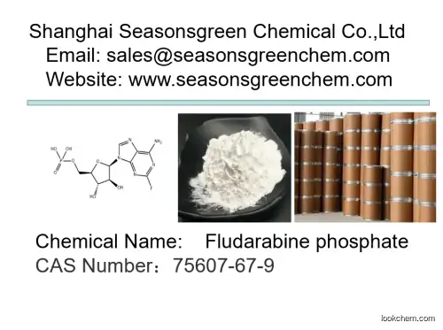 lower price High quality Fludarabine phosphate