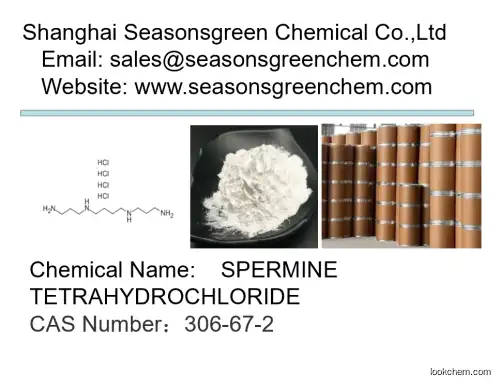 lower price High quality SPERMINE TETRAHYDROCHLORIDE
