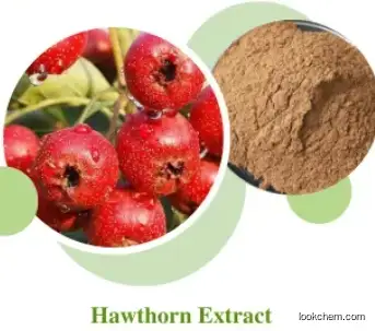 Hawthorn Extract Maslinic Acid 98% CAS 4373-41-5