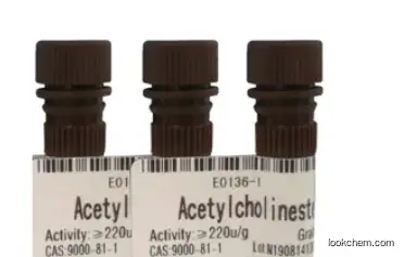 Acetylcholinesterase Ache CAS: 9000-81-1