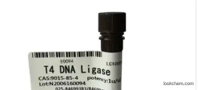 T4 DNA Ligase CAS 9015-85-4 CAS No.: 9015-85-4