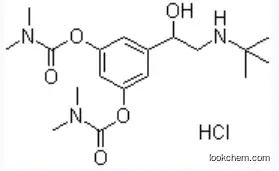 CAS 81732-46-9 Bambuterol Hydrochloride / Bambuterol HCl