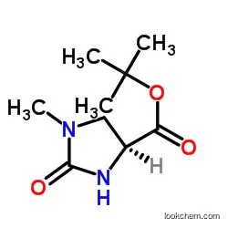 tert-Butyl (4S)-1-methyl-2-o CAS No.: 83056-79-5