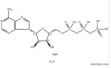 Adenosine 5'-triphosphate disodium salt 51963-61-2