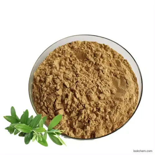 KOSHER HALAL EU ORGANIC CERTIFICATE Wholesale Bulk Price Olive Leaf Extract Pure Oleuropein CAS No .32619-42-4