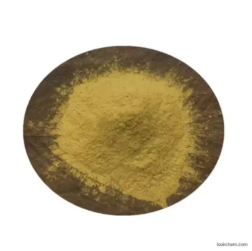 Natural Epimedium Plant Extract CAS 118525-40-9 98% Icaritin