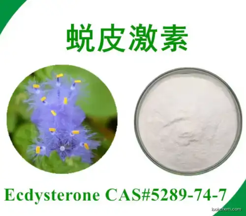 CAS 5289-74-7 Factory Supply 98% Hydroxyecdysone / Beta-Ecdysterone / Ecdysone / Ecdysterone Cosmetic grade