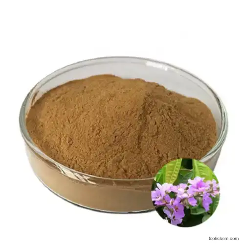 Top Grade Banaba Extract Corosolic Acid Cas 4547-24-4