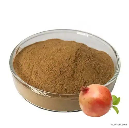 Factory Supply Natural Pomegranate Extract CAS 65995-63-3 99% Punicalagin Powder in stock