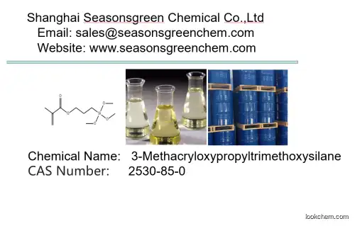 lower?price?High?quality 3-Methacryloxypropyltrimethoxysilane