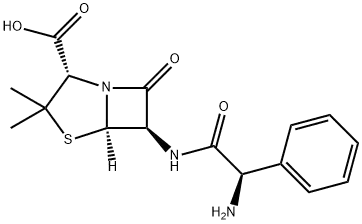 69-53-4   Ampicillin