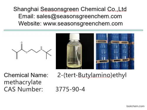 2-(TERT-BUTYLAMINO)ETHYL METHACRYLATE