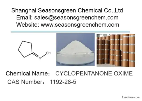 CYCLOPENTANONE OXIME