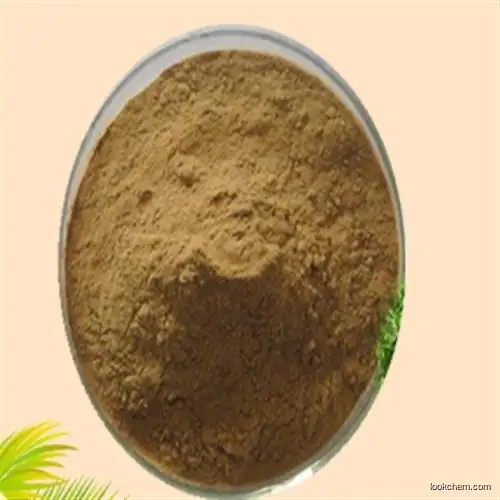 CAS 84604-15-9 Serenoa Serrulata Fruit Extract ISO Factory Saw Palmetto Extract