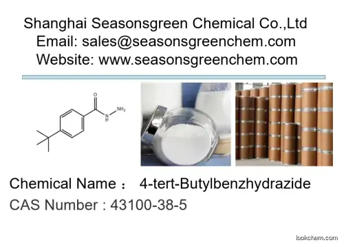 4-tert-Butylbenzhydrazide