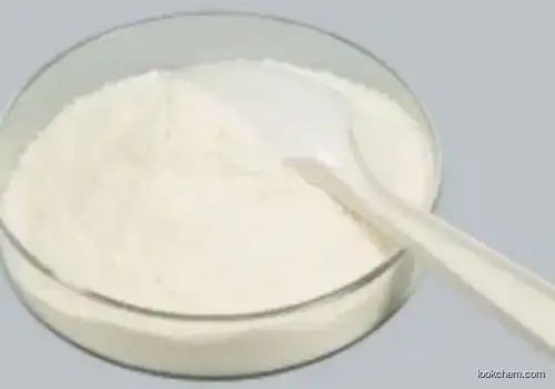 DIALLYL ISO-PHTHALATE RESIN CAS 25035-78-3