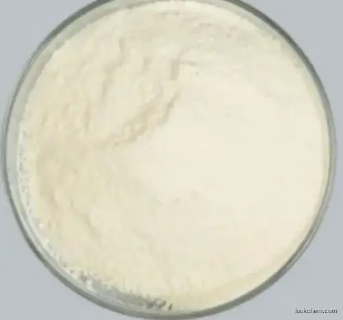 DIALLYL ISO-PHTHALATE RESIN CAS 25035-78-3