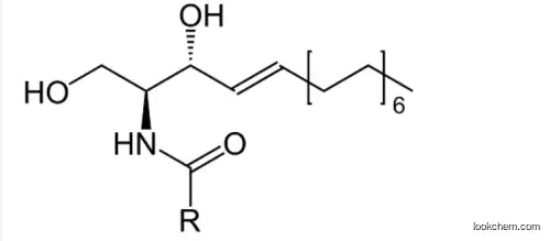 Ceramides       100403-19-8