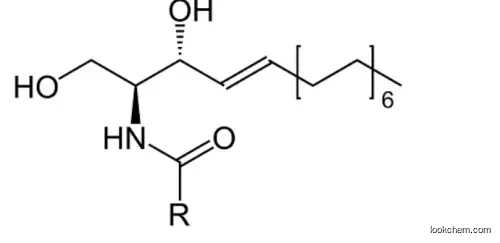 Ceramides     100403-19-8