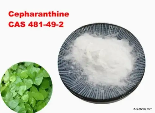 Natural Stephania Japonica Extract 98% Cepharanthine 481-49-2