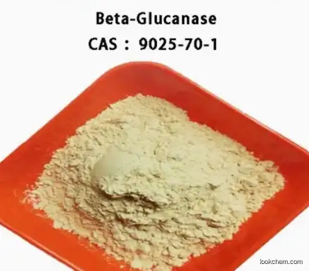 Dextranase CAS 9025-70-1