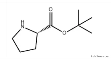 H-PRO-OTBU     2812-46-6