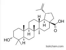 Epibetulinic acid CAS 38736-77-5