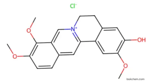 JATRORRHIZINE HCL(RG) CAS 6681-15-8